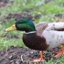 세보한의원 이미지