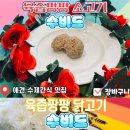 댕비드 이미지