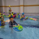 어푸어푸 이미지