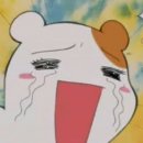 탕이랑 이미지