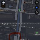 버스정류장-공설운동장 | 2026 진해 군항제 벚꽃축제 후기 (주차, 버스 등 교통편)