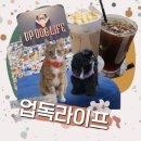 업독라이프