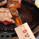 가산 양고기 맛집추천 양원집 양갈비살 양꼬치 차이