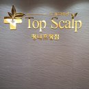 탑스칼프