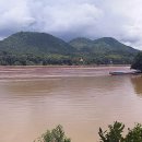 서일건기 이미지