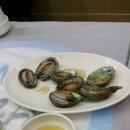 강남제비 이미지