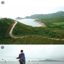 덤장집민박 이미지