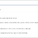 네거티브갤러리 이미지