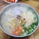 몸에조은국수 이미지