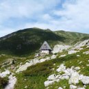 유정식당 이미지