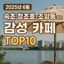 2025년 6월, 속초 청초호·조양동 인근 감성 카페 TOP10 완벽 가이드