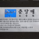 경남 매화출사정보 이미지