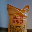 뻘땅 이미지