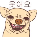 네일노니