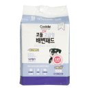 태인 애견 이미지