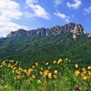 H노래연습장 이미지