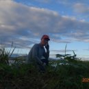 복하천 2 이미지