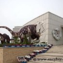 공룡박물관 이미지