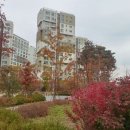 이랜드공인중개사사무소 이미지