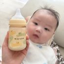 위드캣 | 모윰 3세대 PPSU 올인원 젖병 후기 | 위드캣 170ml 사출 없는 젖병 써보니