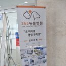 365동물병원 위례점 이미지