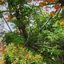 황명「분수·1」 이미지