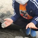 UN본부 펜션 네이버블로그