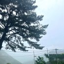 늘푸른소리 농장 이미지
