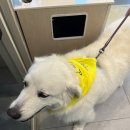 창녕동물병원 이미지