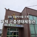 아이와 함께 배우는 캐리커쳐(토) | [ 거제 ] 무료라서 더 놀라운 곳! 아이와 함께 다녀온 거제 곤충체험관 리얼 후기