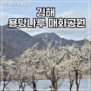 매화공원 광장 이미지