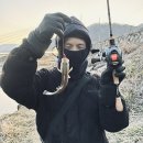 데바컴퍼니
