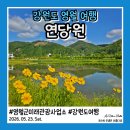 동서1로 | 강원도 영월 여행 동서강정원 연당원 입장료 주차 후기