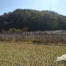 구산면418 네이버블로그