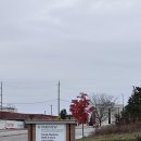 둥지약국 | 23개월 아기 미국 인디애나 소아과 영유아검진 후기 🇺🇸 | Parkview Family Clinic 방문 &amp; Flu 백신...