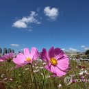 푸른하늘 연합뉴스