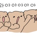 원펀치복싱클럽 이미지