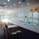 바우스토리 이미지