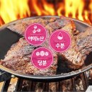 마이야르