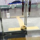 덕천지구대 이미지