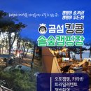 킹콩솔숲캠핑장