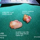 유미노의원 이미지