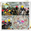 최성 태권도 이미지