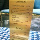 그루밍캣 압구정점 이미지