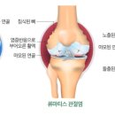 섹칼슘 이미지