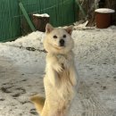 스타킹 노래연습장 네이버블로그