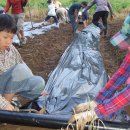 고천농장 이미지