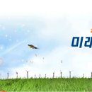 [미래에셋증권 채용] 미래에셋증권 선물옵션운용팀 경력직 채용 (~12/03) 이미지