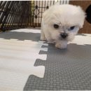 신반포로43길 10 이미지