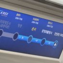 링고스튜디오 | [일본, 오사카] 볼거리 먹을거리 가득한 오사카 여행❤️